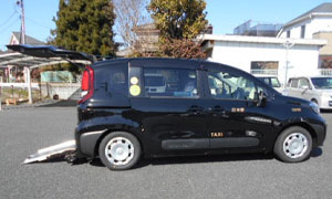 �n�C�u���b�h�^�N�V�[�u�v���E�X�v������