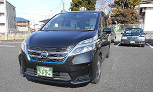 �����{�b�N�X�ԗ��uNV200�v������